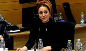 

MK Limor Sun Har Melech, following the approval of the death penalty for terrorists law.  Screengrab via Youtube.