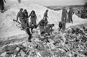 SS guard women at the Bergen-Belsen concentration camp unload the corpses of prisoners for burial in a mass grave. They were recruited for this work by the Allies who liberated the camp. A convoy of British soldiers surrounds the ditch. The former guards are punished by being forbidden to wear gloves, which would expose them to the risk of contracting typhus. Pictured: Elisabeth Volkenrath (1919-1945, executed in the prison in the German city of Hamelin on December 13, 1945), Anneliese Kohlmann (1921-1977, sentenced to two years in prison), Charlotte Pliquet, Ilse Forster (sentenced to 10 years in prison, released in December 1951), Frieda Walter (sentenced to 3 years in prison) and Magdalene Kessel. Photo by George Rodger - waralbum.ru & Time Inc., Public Domain, https://commons.wikimedia.org/w/index.php?curid=64863055